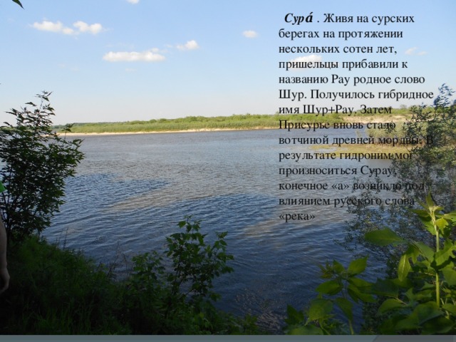 Сура́ . Живя на сурских берегах на протяжении нескольких сотен лет, пришельцы прибавили к названию Рау родное слово Шур. Получилось гибридное имя Шур+Рау. Затем Присурье вновь стало вотчиной древней мордвы. В результате гидроним мог произноситься Сурау, конечное «а» возникло под влиянием русского слова «река»