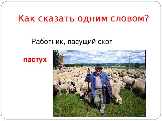 Как сказать одним словом? Работник, пасущий скот пастух