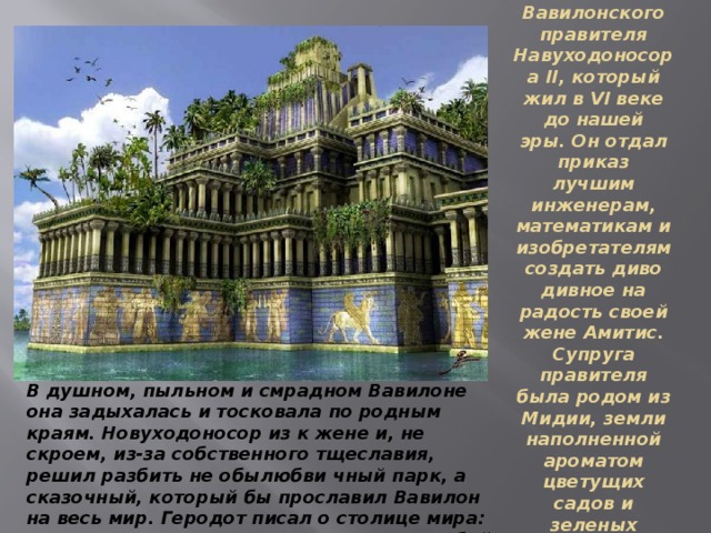 Этот шедевр построили по велению Вавилонского правителя Навуходоносора II, который жил в VI веке до нашей эры. Он отдал приказ лучшим инженерам, математикам и изобретателям создать диво дивное на радость своей жене Амитис. Супруга правителя была родом из Мидии, земли наполненной ароматом цветущих садов и зеленых холмов. В душном, пыльном и смрадном Вавилоне она задыхалась и тосковала по родным краям. Новуходоносор из к жене и, не скроем, из-за собственного тщеславия, решил разбить не обылюбви чный парк, а сказочный, который бы прославил Вавилон на весь мир. Геродот писал о столице мира: «Вавилон превосходит великолепием любой другой город на Земле».