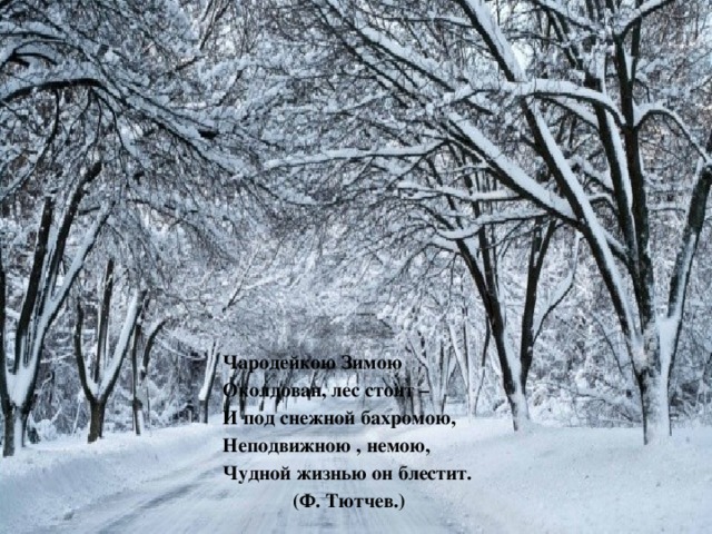 Чародейкою Зимою Околдован, лес стоит – И под снежной бахромою, Неподвижною , немою, Чудной жизнью он блестит.  (Ф. Тютчев.)