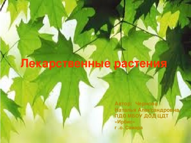 Лекарственные растения  Автор: Чернова Наталья Александровна, ПДО МБОУ ДОД ЦДТ «Ирбис» г .о. Самара