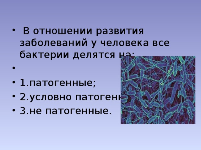 В отношении развития заболеваний у человека все бактерии делятся на: 1.патогенные; 2.условно патогенные; 3.не патогенные.