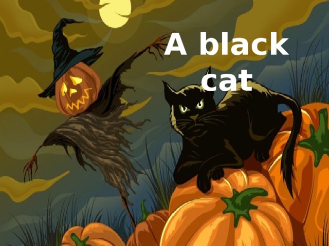 A black cat
