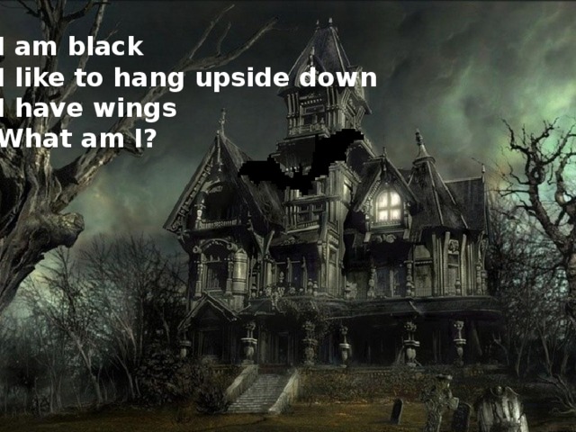 I am black I like to hang upside down I have wings What am I?