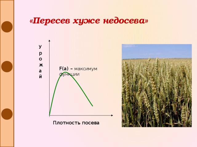 «Пересев хуже недосева» Урожай F(a) – максимум функции Плотность посева