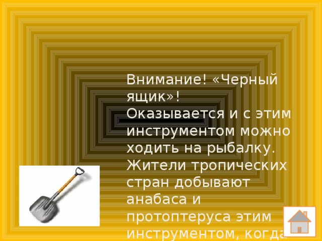 Внимание! «Черный ящик»! Оказывается и с этим инструментом можно ходить на рыбалку. Жители тропических стран добывают анабаса и протоптеруса этим инструментом, когда водоемы пересыхают. Что в черном ящике?