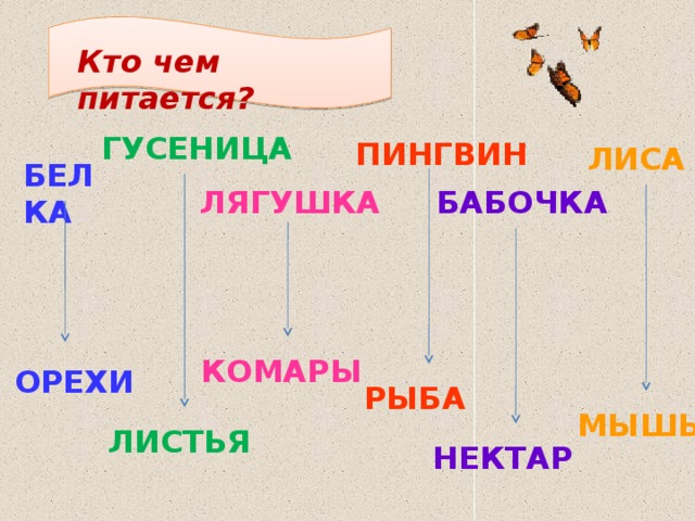 Кто чем питается? ГУСЕНИЦА ПИНГВИН ЛИСА БЕЛКА ЛЯГУШКА БАБОЧКА КОМАРЫ ОРЕХИ РЫБА МЫШЬ ЛИСТЬЯ НЕКТАР