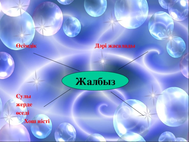 Өсімдік Дәрі жасалады      Сулы жерде өседі          Хош иісті Жалбыз