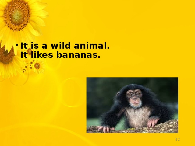 It is a wild animal. It likes bananas.