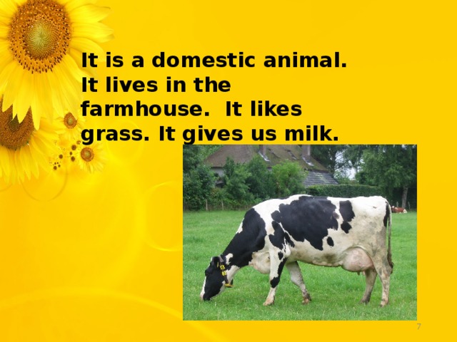 It is a domestic animal. It lives in the farmhouse. It likes grass. It gives us milk.