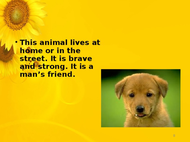 This animal lives at home or in the street. It is brave and strong. It is a man’s friend.