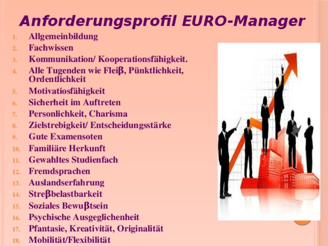 Anforderungsprofil EURO-Manager