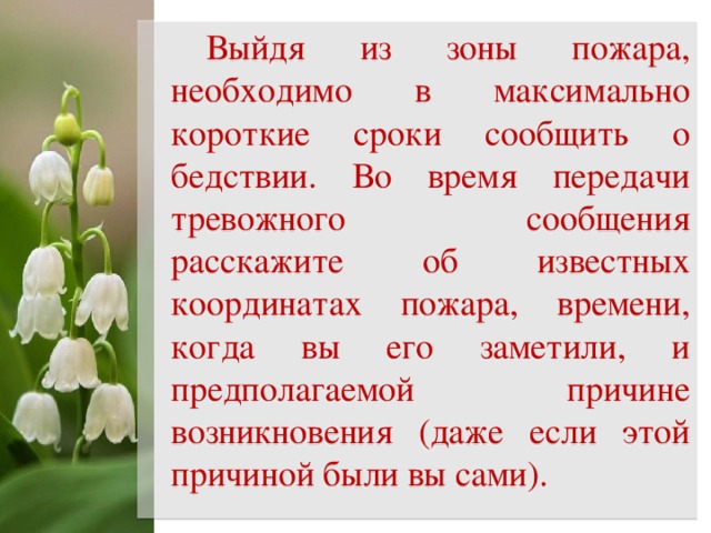 Выйдя из зоны пожара, необходимо в максимально короткие сроки сообщить о бедствии. Во время передачи тревожного сообщения расскажите об известных координатах пожара, времени, когда вы его заметили, и предполагаемой причине возникновения (даже если этой причиной были вы сами).