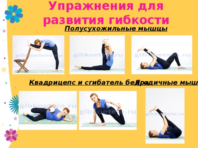 Упражнения для развития гибкости Полусухожильные мышцы Ягодичные мышцы Квадрицепс и сгибатель бедра