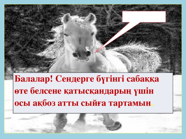 Балалар! Сендерге бүгінгі сабаққа өте белсене қатысқандарың үшін осы ақбоз атты сыйға тартамын .