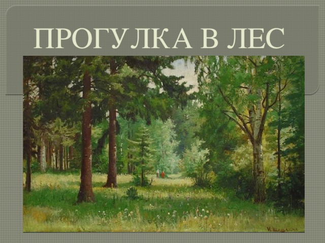 ПРОГУЛКА В ЛЕС