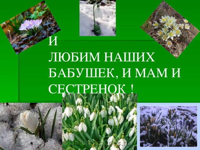 И ЛЮБИМ НАШИХ БАБУШЕК, И МАМ И СЕСТРЕНОК !