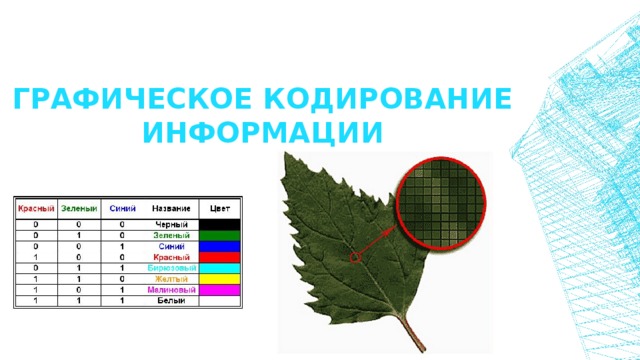 графическое кодирование информации