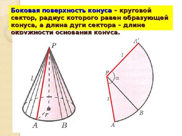 Боковая поверхность конуса – круговой сектор, радиус которого равен образующей конуса, а длина дуги сектора – длине окружности основания конуса.