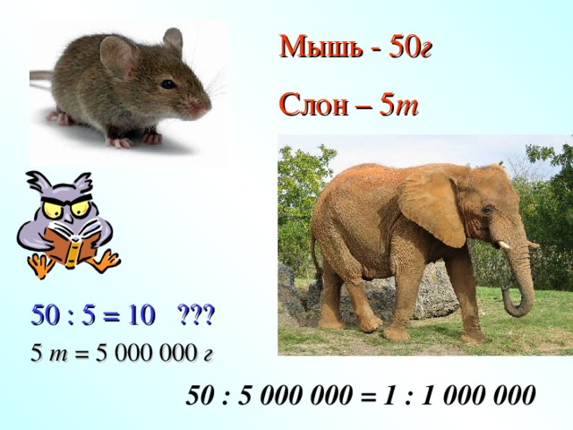 Мышь - 50 г Слон – 5 т 50 : 5 = 10 ??? 5 т = 5 000 000 г  50 : 5 000 000 = 1 : 1 000 000