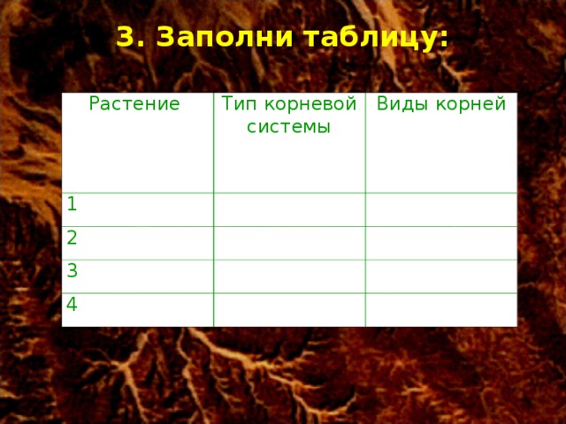 3. Заполни таблицу:   Растение Тип корневой системы 1 Виды корней 2 3 4