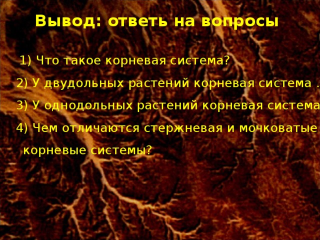 Вывод: ответь на вопросы     1) Что такое корневая система?   2) У двудольных растений корневая система ... .   3) У однодольных растений корневая система ... .   4) Чем отличаются стержневая и мочковатые  корневые системы?