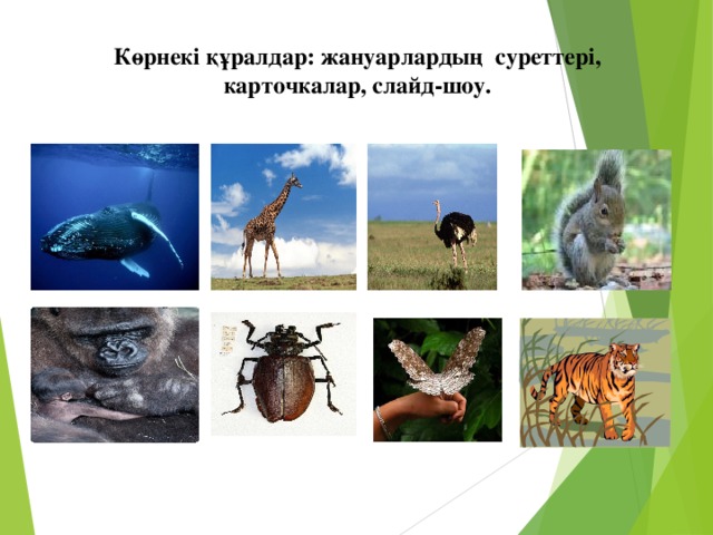 Көрнекі құралдар: жануарлардың суреттері, карточкалар, слайд-шоу.