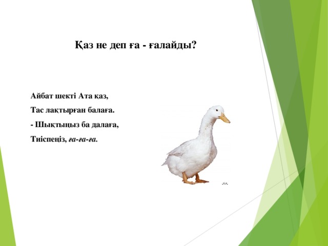 Қаз не деп ға - ғалайды?   Айбат шекті Ата қаз, Тас лақтырған балаға. - Шықтыңыз ба далаға, Тиіспеңіз, ға-ға-ға.