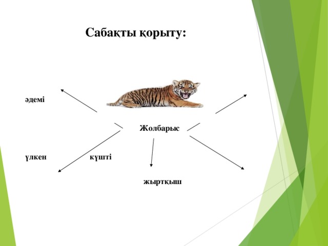 Сабақты қорыту: әдемі аң   Жолбарыс  үлкен  күшті   жыртқыш