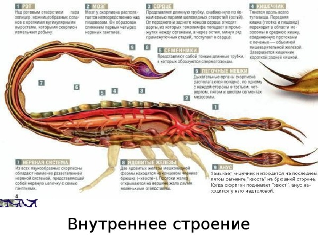 Как узнать название по фотографии