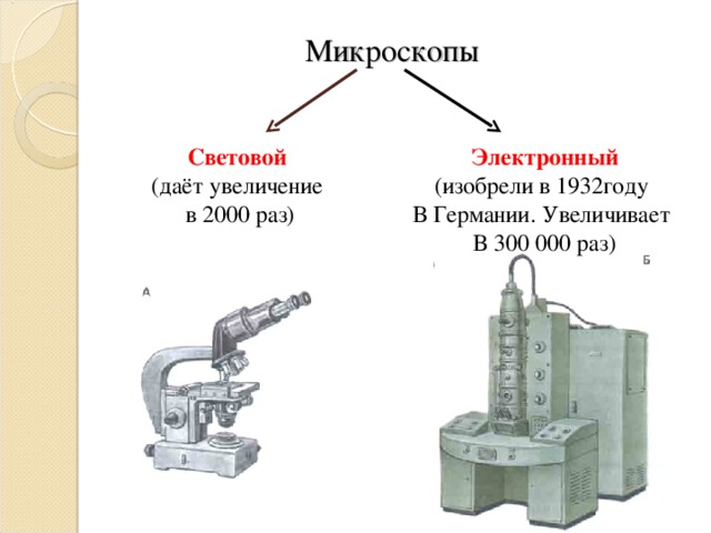 Микроскопы Световой Электронный (даёт увеличение в 2000 раз) (изобрели в 1932году В Германии. Увеличивает В 300 000 раз)