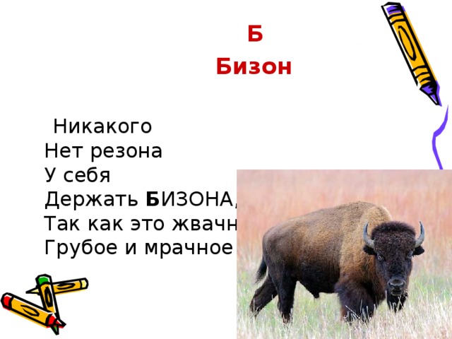 Б  Бизон  Никакого  Нет резона  У себя  Держать  Б ИЗОНА,  Так как это жвачное  Грубое и мрачное!