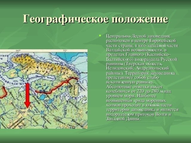 Валдайский заповедник презентация