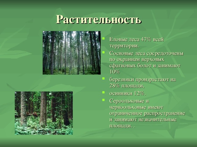 Еловые леса 47% всей территории. Сосновые леса сосредоточены по окраинам верховых сфагновых болот и занимают 10% березняки произрастают на 28% площади, осинники 12%. Сероольховые и черноольховые имеют ограниченное распространение и занимают незначительные площади. .