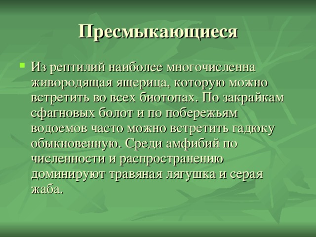 Из рептилий наиболее многочисленна живородящая ящерица, которую можно встретить во всех биотопах. По закрайкам сфагновых болот и по побережьям водоемов часто можно встретить гадюку обыкновенную. Среди амфибий по численности и распространению доминируют травяная лягушка и серая жаба.