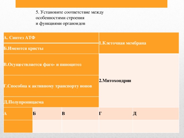 5. Установите соответствие между особенностями строения и функциями органоидов А. Синтез АТФ Б.Имеются кристы В.Осуществляется фаго- и пиноцитоз 1.Клеточная мембрана Г.Способна к активному транспорту ионов Д.Полупроницаема 2.Митохондрии А Б В Г Д