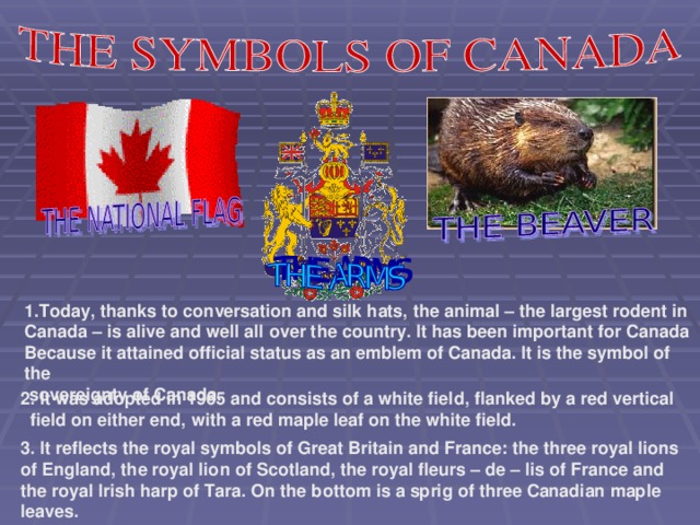 1.Today, thanks to conversation and silk hats, the animal – the largest rodent in Canada – is alive and well all over the country. It has been important for Canada Because it attained official status as an emblem of Canada. It is the symbol of the  sovereignty of Canada.  2. It was adopted in 1965 and consists of a white field, flanked by a red vertical  field on either end, with a red maple leaf on the white field. 3. It reflects the royal symbols of Great Britain and France: the three royal lions of England, the royal lion of Scotland, the royal fleurs – de – lis of France and the royal Irish harp of Tara. On the bottom is a sprig of three Canadian maple leaves.