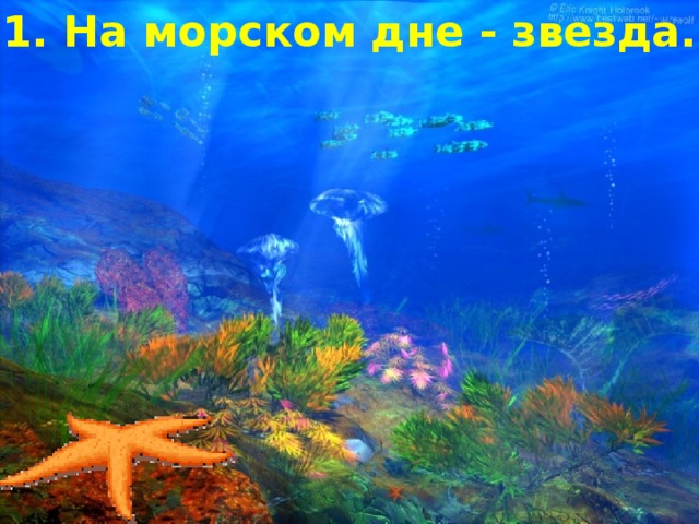 1. На морском дне - звезда.