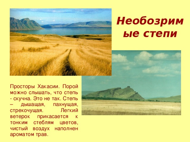 Необозримые степи Просторы Хакасии. Порой можно слышать, что степь - скучна. Это не так. Степь – дышащая, пахнущая, стрекочущая. Легкий ветерок прикасается к тонким стеблям цветов, чистый воздух наполнен ароматом трав.