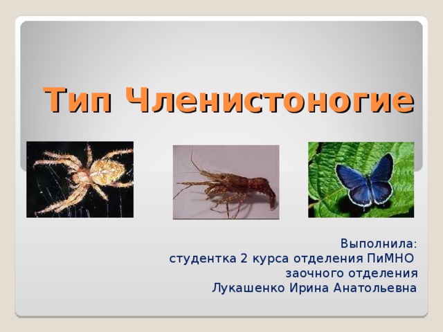 Тип Членистоногие Выполнила: студентка 2 курса отделения ПиМНО заочного отделения Лукашенко Ирина Анатольевна