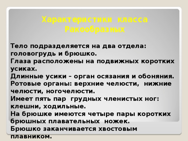 Характеристики класса Ракообразных Тело подразделяется на два отдела: головогрудь и брюшко. Глаза расположены на подвижных коротких усиках. Длинные усики – орган осязания и обоняния. Ротовые органы: верхние челюсти, нижние челюсти, ногочелюсти. Имеет пять пар грудных членистых ног: клешни, ходильные. На брюшке имеются четыре пары коротких брюшных плавательных ножек. Брюшко заканчивается хвостовым плавником.