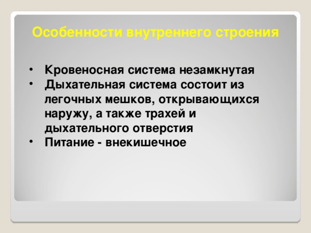 Особенности внутреннего строения