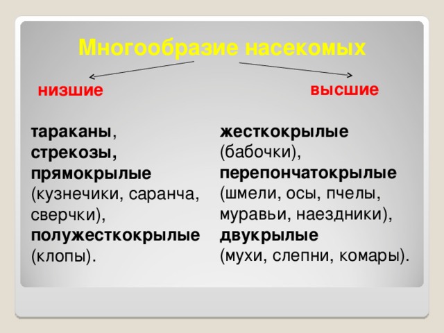 Многообразие насекомых высшие низшие жесткокрылые (бабочки), перепончатокрылые (шмели, осы, пчелы, муравьи, наездники), двукрылые  (мухи, слепни, комары).   тараканы , стрекозы, прямокрылые (кузнечики, саранча, сверчки), полужесткокрылые (клопы).