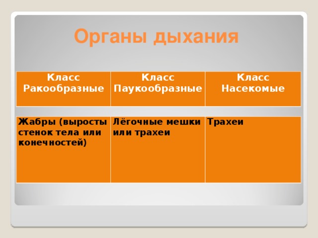 Органы дыхания Класс Ракообразные Класс Паукообразные Класс Насекомые Жабры (выросты стенок тела или конечностей)   Лёгочные мешки или трахеи Трахеи