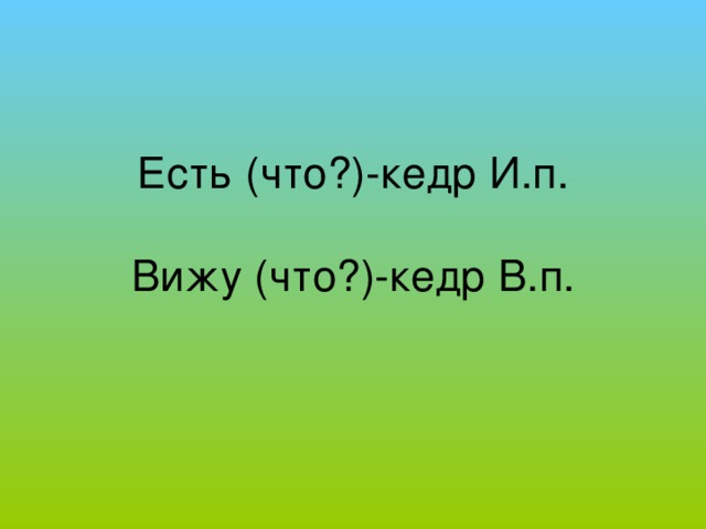 Есть (что?)-кедр И.п.   Вижу (что?)-кедр В.п.