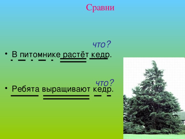 Сравни что? В питомнике растёт кедр. Ребята выращивают кедр. что? Упражнение 35, учебник Зелениной , ч. 1, стр. 82