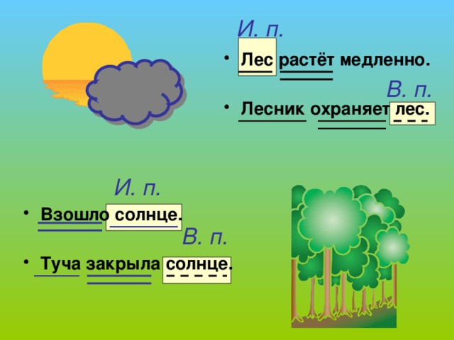 И. п. Лес растёт медленно.  Лесник охраняет лес. В. п. И. п. Взошло солнце.  Туча закрыла солнце. Вернёмся к упражнению 36 и определим падежи одинаковых существительных В. п.