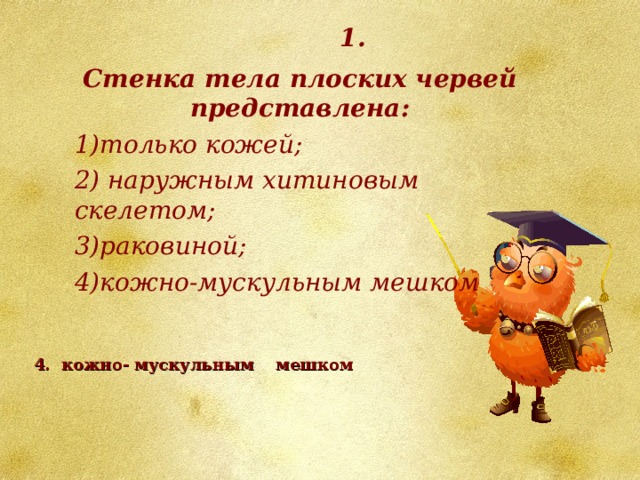 1. Стенка тела плоских червей представлена: только кожей;  наружным хитиновым скелетом; раковиной; кожно-мускульным мешком 4. кожно- мускульным мешком