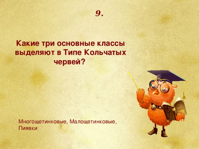 9. Какие три основные классы выделяют в Типе Кольчатых червей? Многощетинковые, Малощетинковые, Пиявки