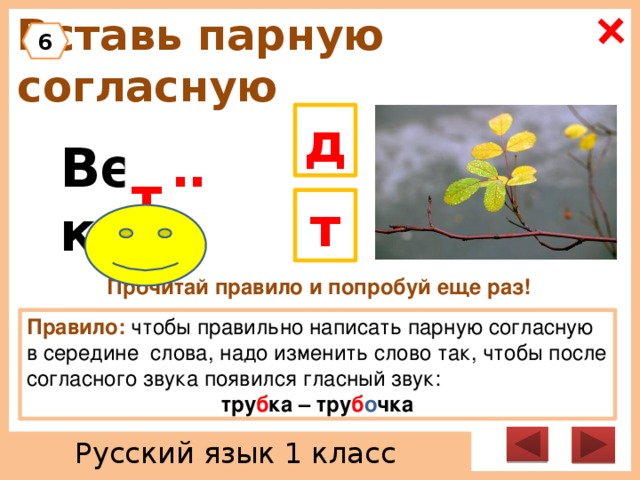 Парные согласные д. Слова с парными согласными д-т. Парные согласные д т в середине слова. Слова с парной согласной д-т. Д-Т парные согласные примеры слов.